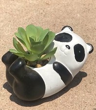 Fioriera in cemento per