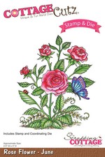 Fustelle Big Shot Sizzix