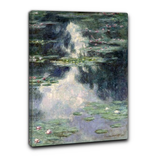 Niik quadro stagno - stagno, con