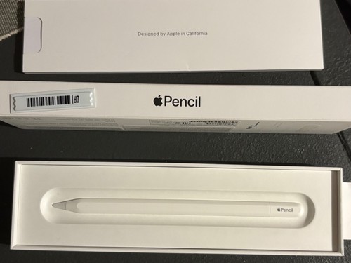 Apple pencil bianco - (usb-c),