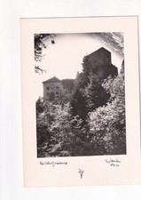 1264) Cartolina Castello