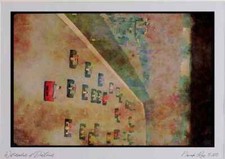 Car Racing 325073 Pace Lap