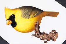 Poster Mike Mitchell Fat Bird Series Yellow Northern Cardinal #/35 stampa artistica