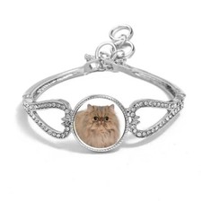 Persian Cat Pet Silver Colour