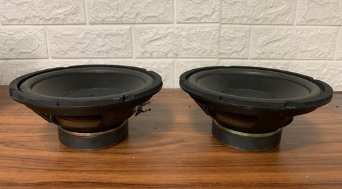 Potente coppia woofer - potente,