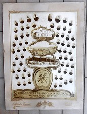 ALIFREDI E TAVERA PINEROLO