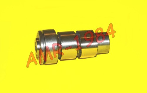 Albero camme motore - camme, rotax