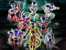 Set completo fregio HG Dragon