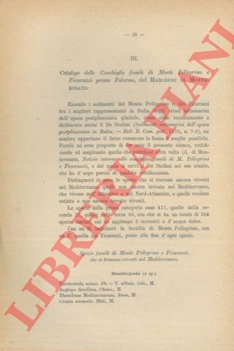 Marchese monterosato - marchese,