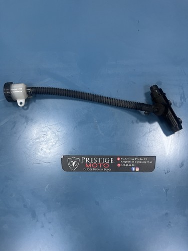 Pompa freno posteriore - freno, benelli
