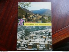 20083) MONTOGGIO PRIMAVERA E