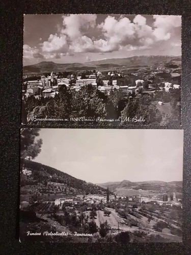 Cartoline bosco - cartoline,