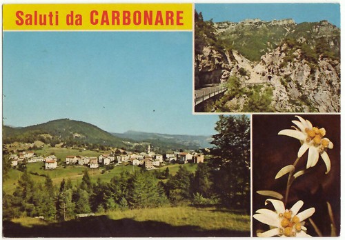 Carbonare trento saluti - -,