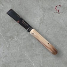 Colello.Mozzetta CORNO LUCIDO