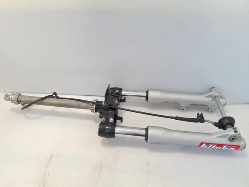 Forcella completo piaggio - forcella,