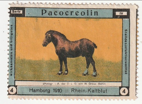 Germania etichetta cavallo - germania,