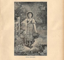 Stampa antica campania - stampa,