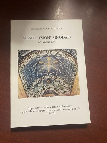 Costituzioni sinodali - sinodali, 29