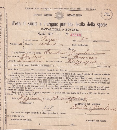 YY503-SVIZZERA-CANTON