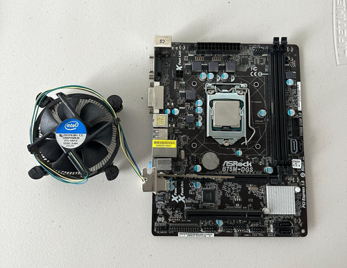 Asrock b75m dgs scheda - asrock, +