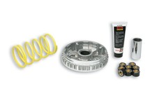 MALOSSI 5111225 VARIATORE
