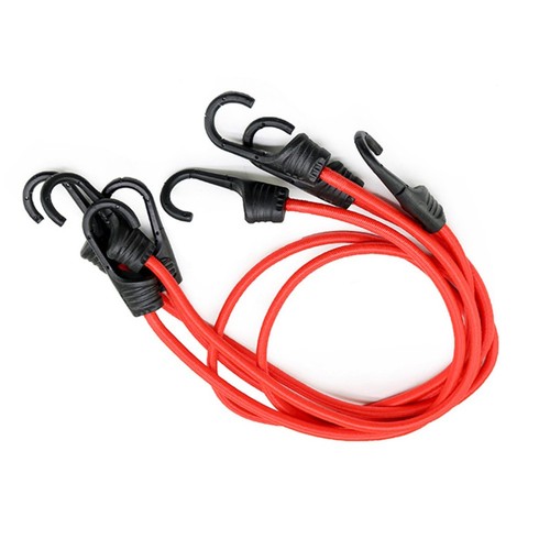 Cinghia elastica elastica