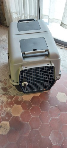 Kennel cane grande