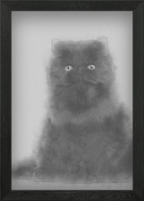 Ritratto di gatto persiano 7