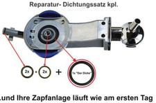 Kit riparazione guarnizione - kit,