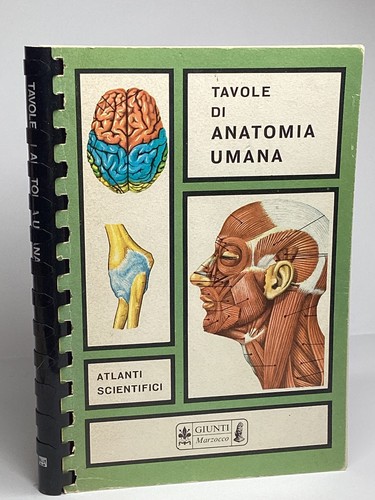 Tavole anatomia umana - di,