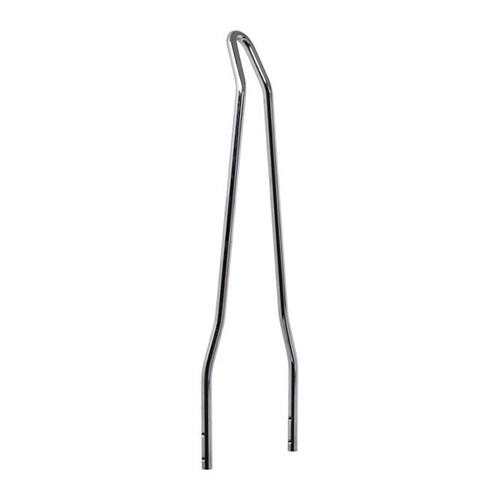 Sissy bar new old school