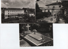 Cartoline di vische - 3,