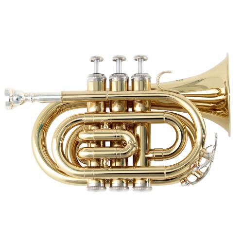 Soundsation stpgd 10p - soundsation, tromba