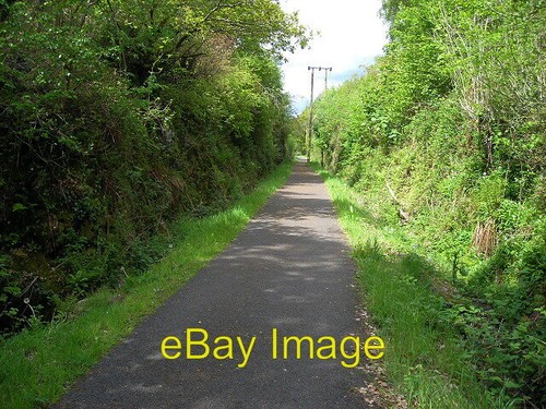 Photo 6x4 cycleway through - photo,