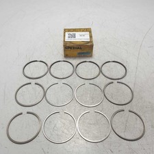 SP5806 fasce elastiche