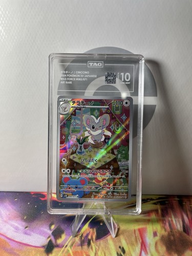 Tag cinccino 83 71 - 10,