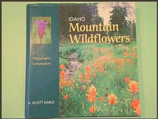 MOUNTAIN WILDFLOWERS IDAHO
