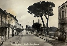 Cartolina Mondragone Viale