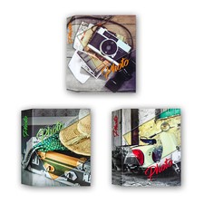 ALBUM FOTOGRAFICO VIAGGIO A