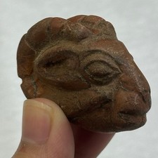 Piccola testa di ariete in