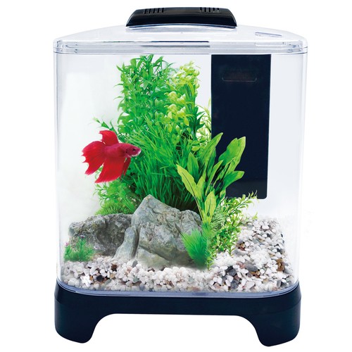 Betta fish tank aqua - -, one