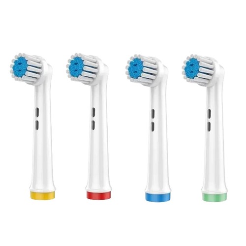 Oral braun testine - oral, b