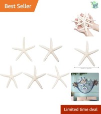 Stella marina naturale leggera