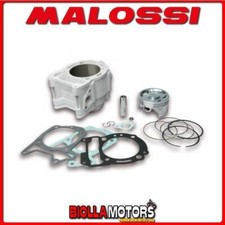 3113958 GRUPPO TERMICO MALOSSI