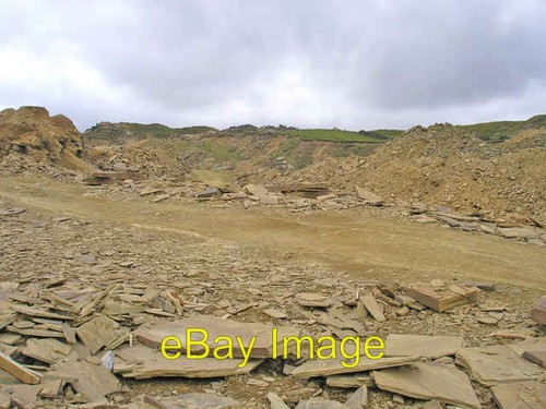 Photo 6x4 hunter hill delphs - 6x4,