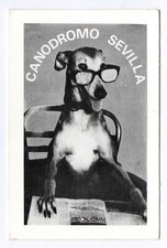 Calendario 1973 del canodromo - 1973,