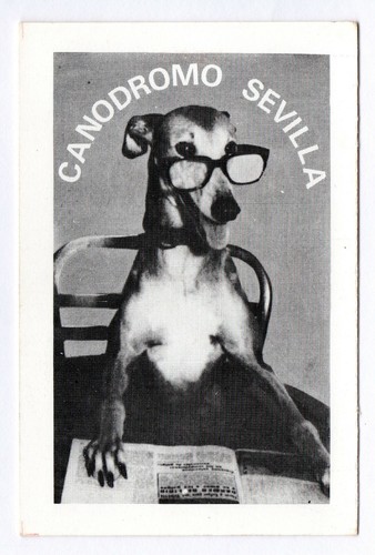 Calendario 1973 del canodromo - calendario,