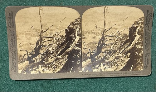 Original stereoview red - stereoview,