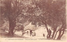 CPA ALGERIE ROVIGO LES THERMES