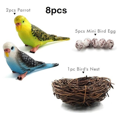 Budgerigar pappagallo bird - budgerigar,